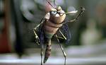 mosquito repellant